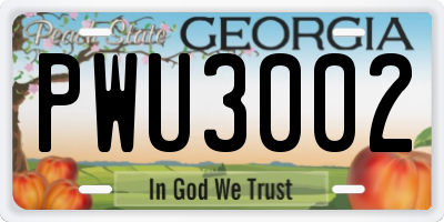 GA license plate PWU3002