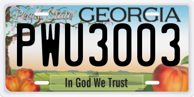 GA license plate PWU3003
