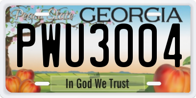 GA license plate PWU3004