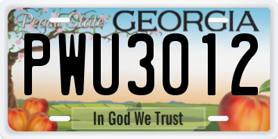 GA license plate PWU3012