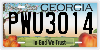 GA license plate PWU3014