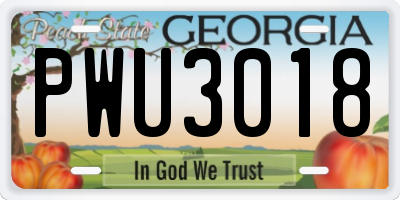 GA license plate PWU3018