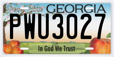 GA license plate PWU3027