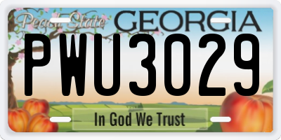 GA license plate PWU3029