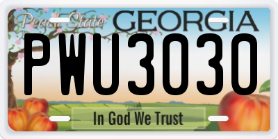 GA license plate PWU3030