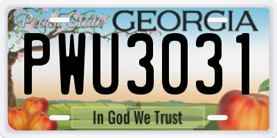 GA license plate PWU3031