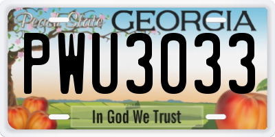 GA license plate PWU3033