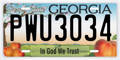 GA license plate PWU3034
