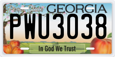 GA license plate PWU3038