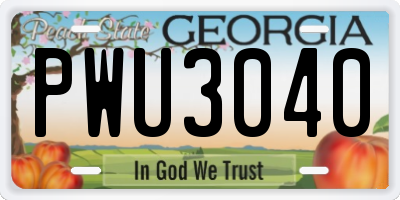 GA license plate PWU3040