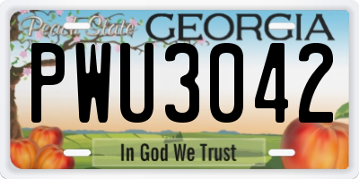 GA license plate PWU3042