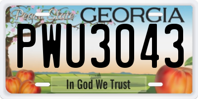 GA license plate PWU3043