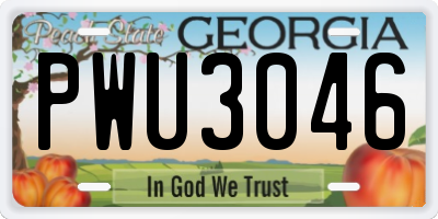 GA license plate PWU3046