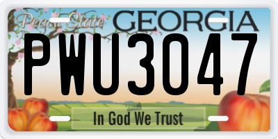 GA license plate PWU3047