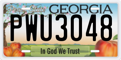 GA license plate PWU3048