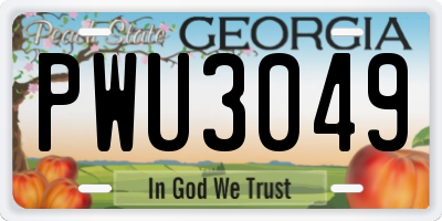 GA license plate PWU3049