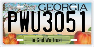 GA license plate PWU3051