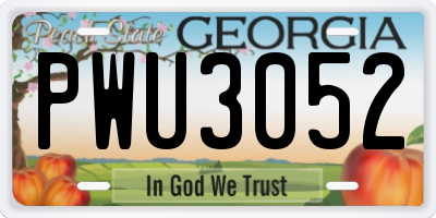 GA license plate PWU3052