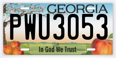 GA license plate PWU3053