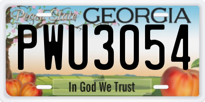 GA license plate PWU3054