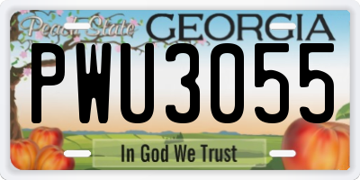 GA license plate PWU3055
