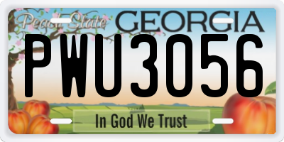 GA license plate PWU3056