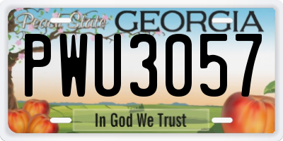 GA license plate PWU3057