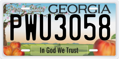 GA license plate PWU3058