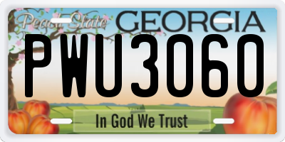 GA license plate PWU3060