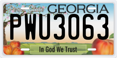 GA license plate PWU3063