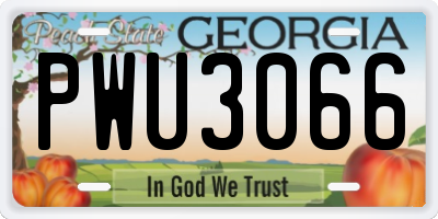 GA license plate PWU3066