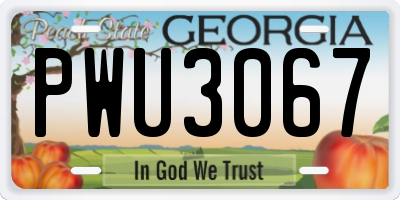 GA license plate PWU3067