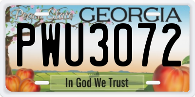 GA license plate PWU3072