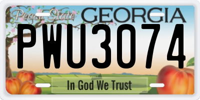 GA license plate PWU3074
