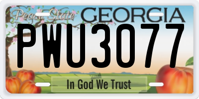 GA license plate PWU3077