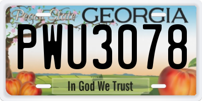 GA license plate PWU3078
