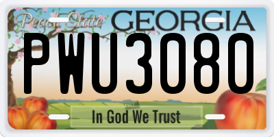 GA license plate PWU3080