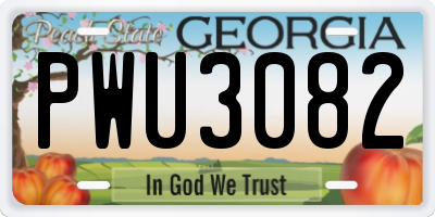 GA license plate PWU3082