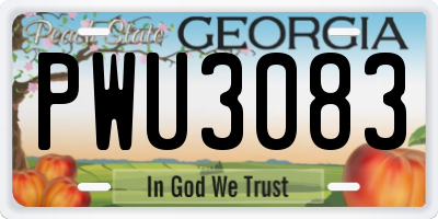 GA license plate PWU3083
