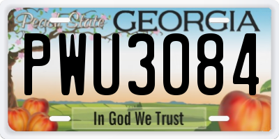 GA license plate PWU3084