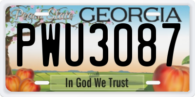GA license plate PWU3087