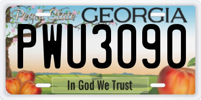 GA license plate PWU3090