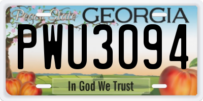 GA license plate PWU3094