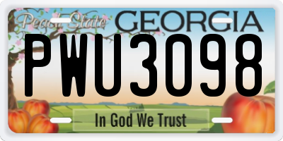 GA license plate PWU3098
