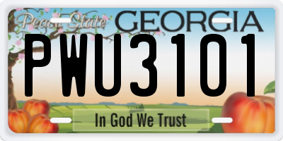 GA license plate PWU3101