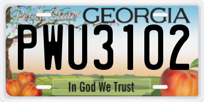GA license plate PWU3102
