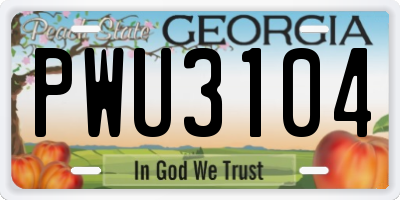 GA license plate PWU3104