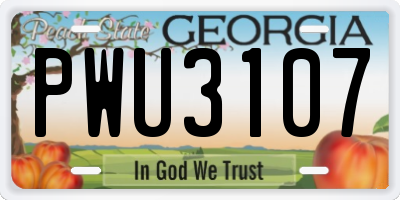 GA license plate PWU3107