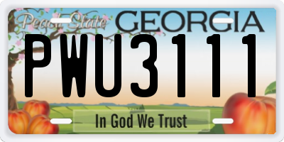 GA license plate PWU3111