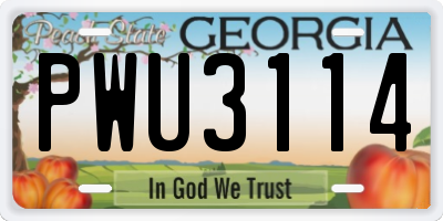 GA license plate PWU3114